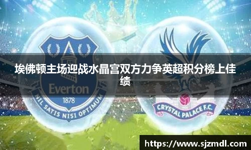 埃佛顿主场迎战水晶宫双方力争英超积分榜上佳绩